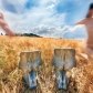 Thumb_C-fakepath-0f78de97-ec62-4604-8ebb-9ec526796241-large