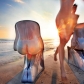 Thumb_C-fakepath-f8166c6e-f814-469e-a5c3-d8279e0d3b4c-large