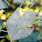 Thumb_C-fakepath-aad8ccdc-9652-49d4-baf0-68b56c42f25d-large